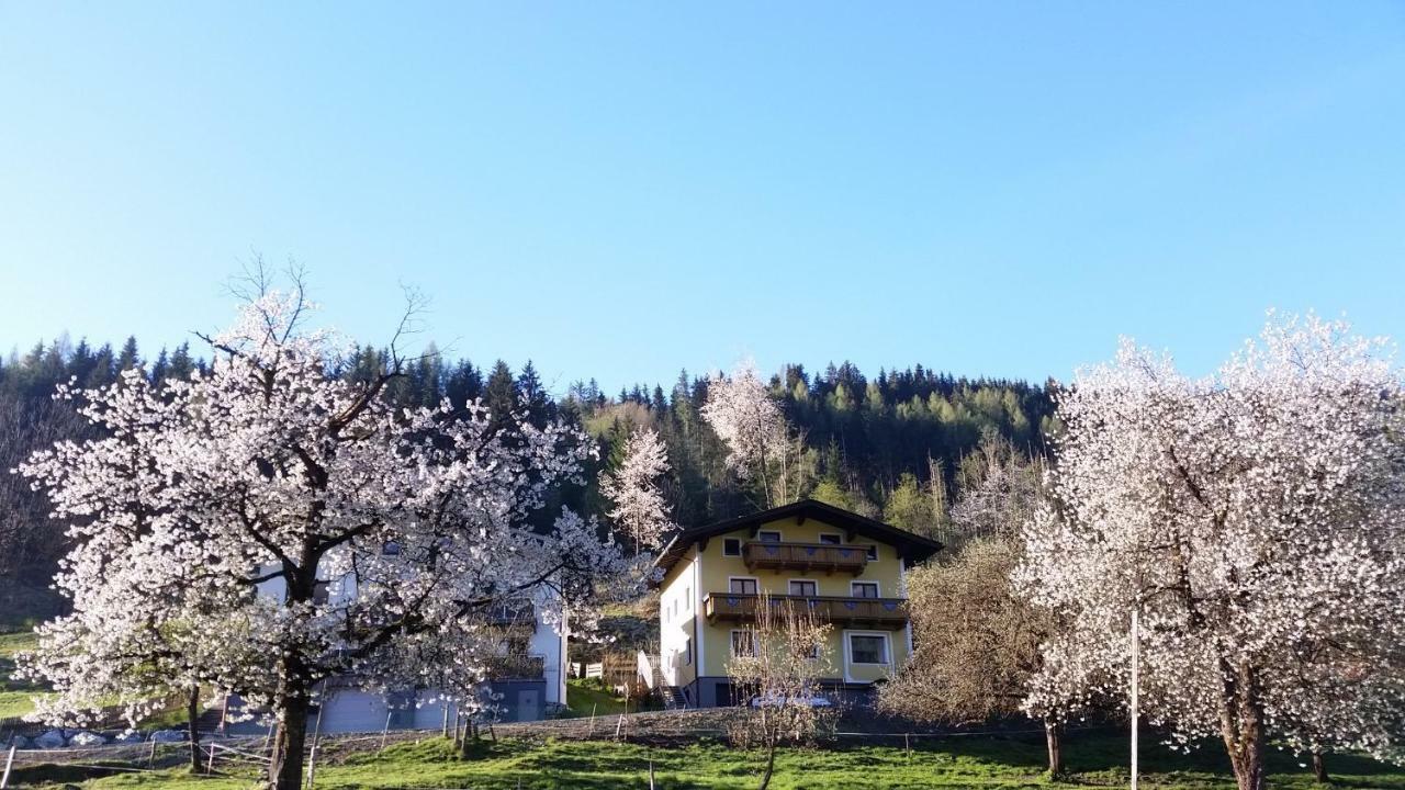 Ferienhaus Karin Фуш-ан-дер-Гросглокнерштрассе Экстерьер фото